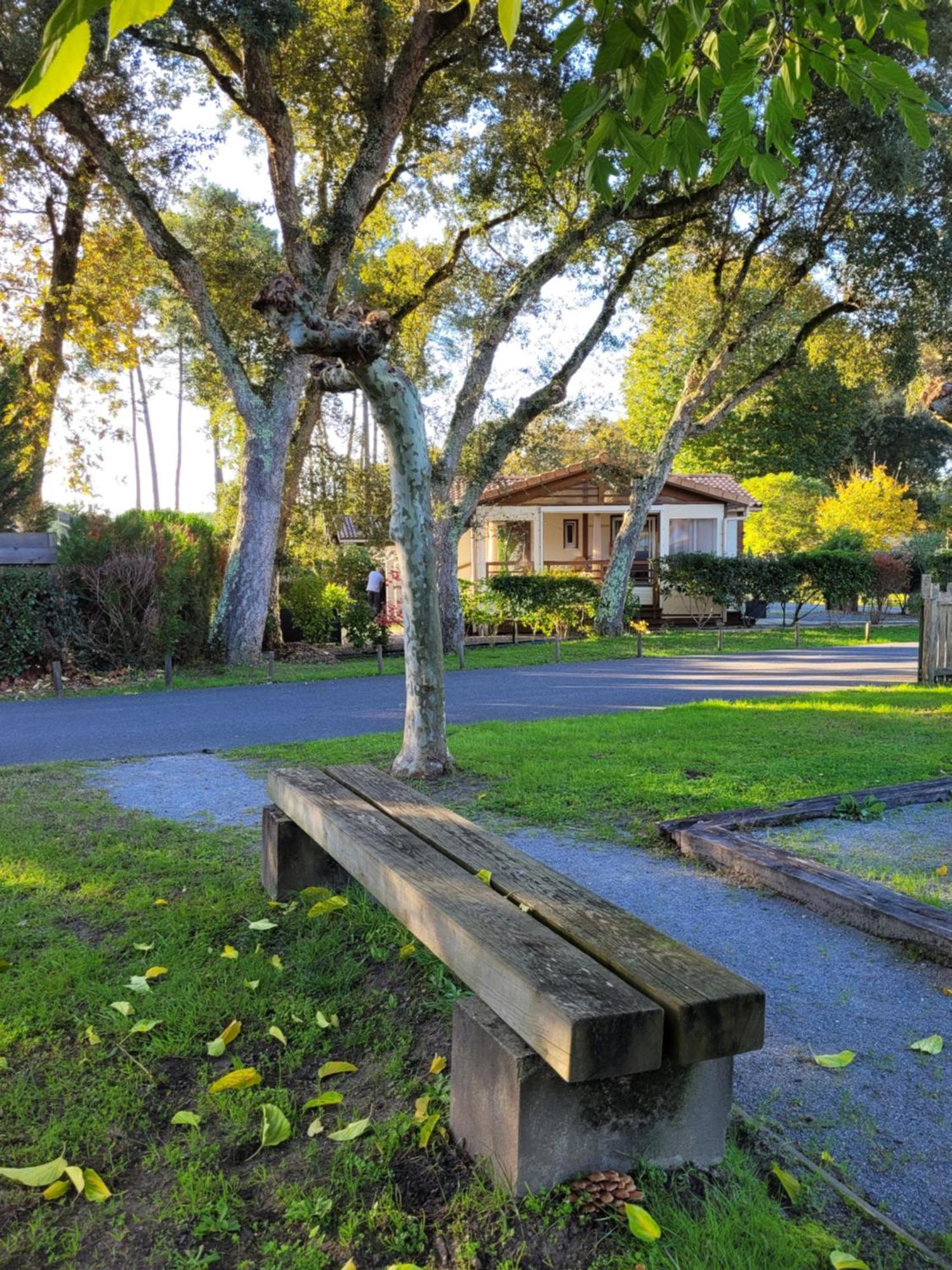 Chalet Familial Entre Lac Et Foret Azur エクステリア 写真